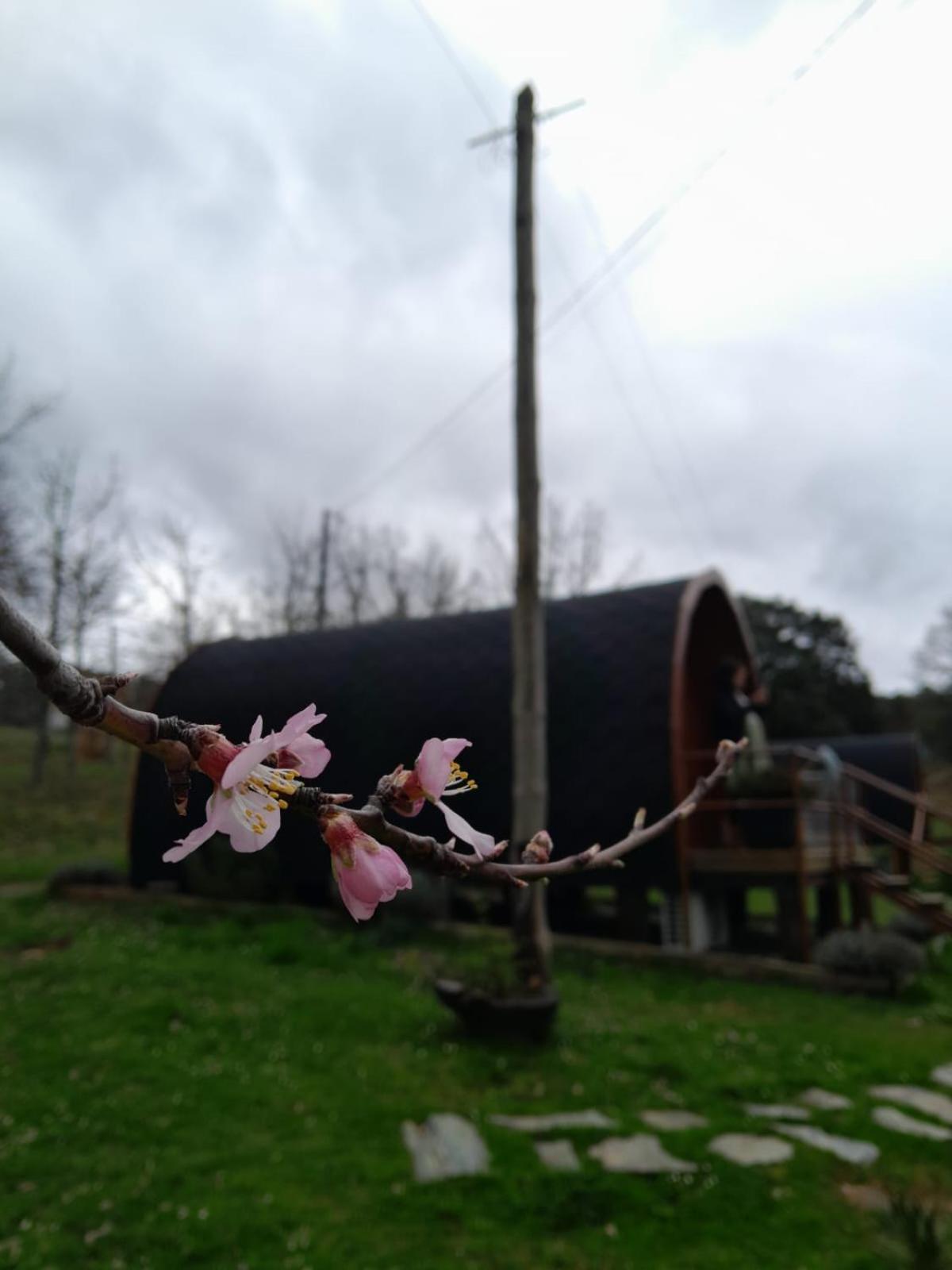 Quinta Da Devesa B1 Appartement Vinhais Buitenkant foto