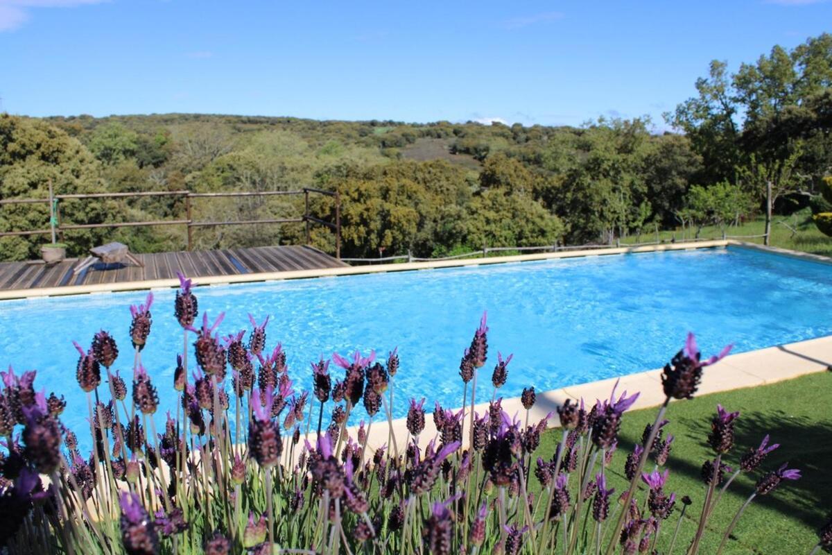 Quinta Da Devesa B1 Appartement Vinhais Buitenkant foto