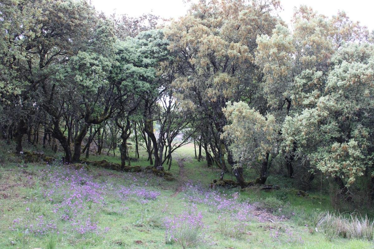Quinta Da Devesa B1 Appartement Vinhais Buitenkant foto